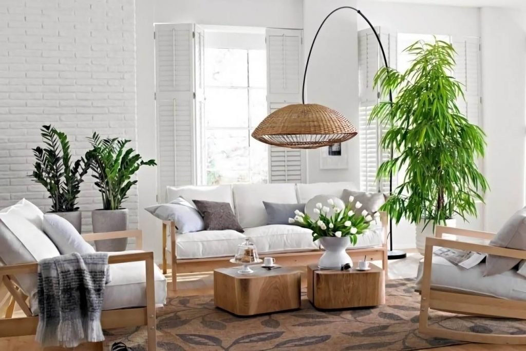 dat-cay-kim-tien-trong-phong-khach