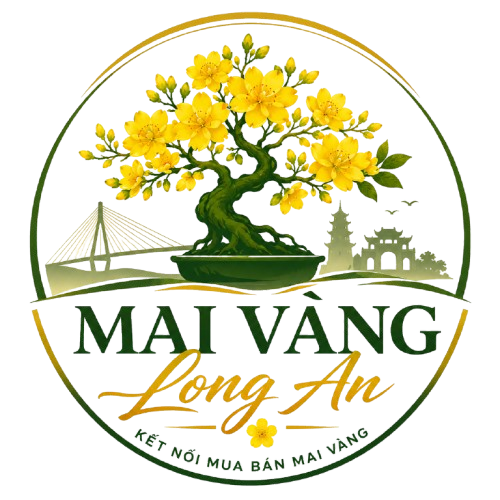 Mai Vàng Long An